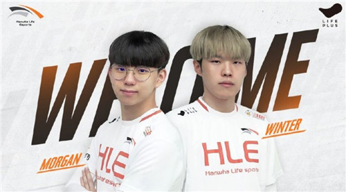 伤病管理 伤病管理