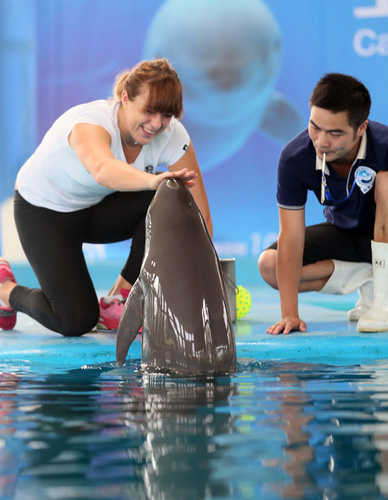 的叙事扩散 的叙事扩散